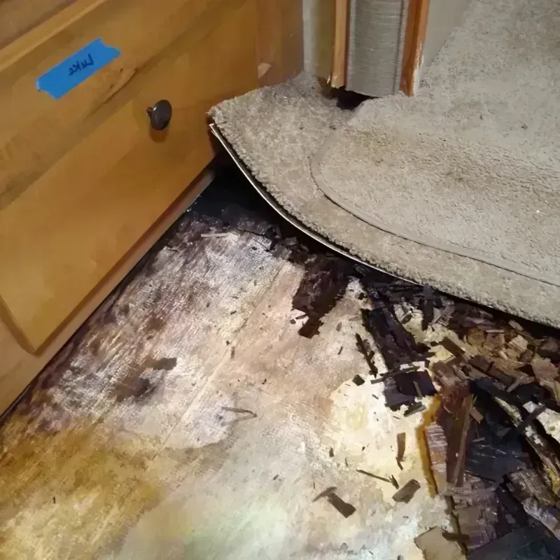 Wood Floor Water Damage in Lloyd Harbor, NY